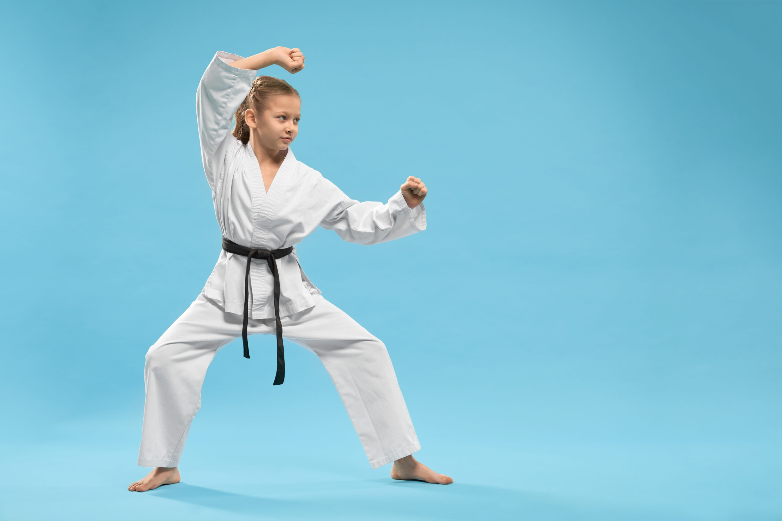 assemib aulas de karate